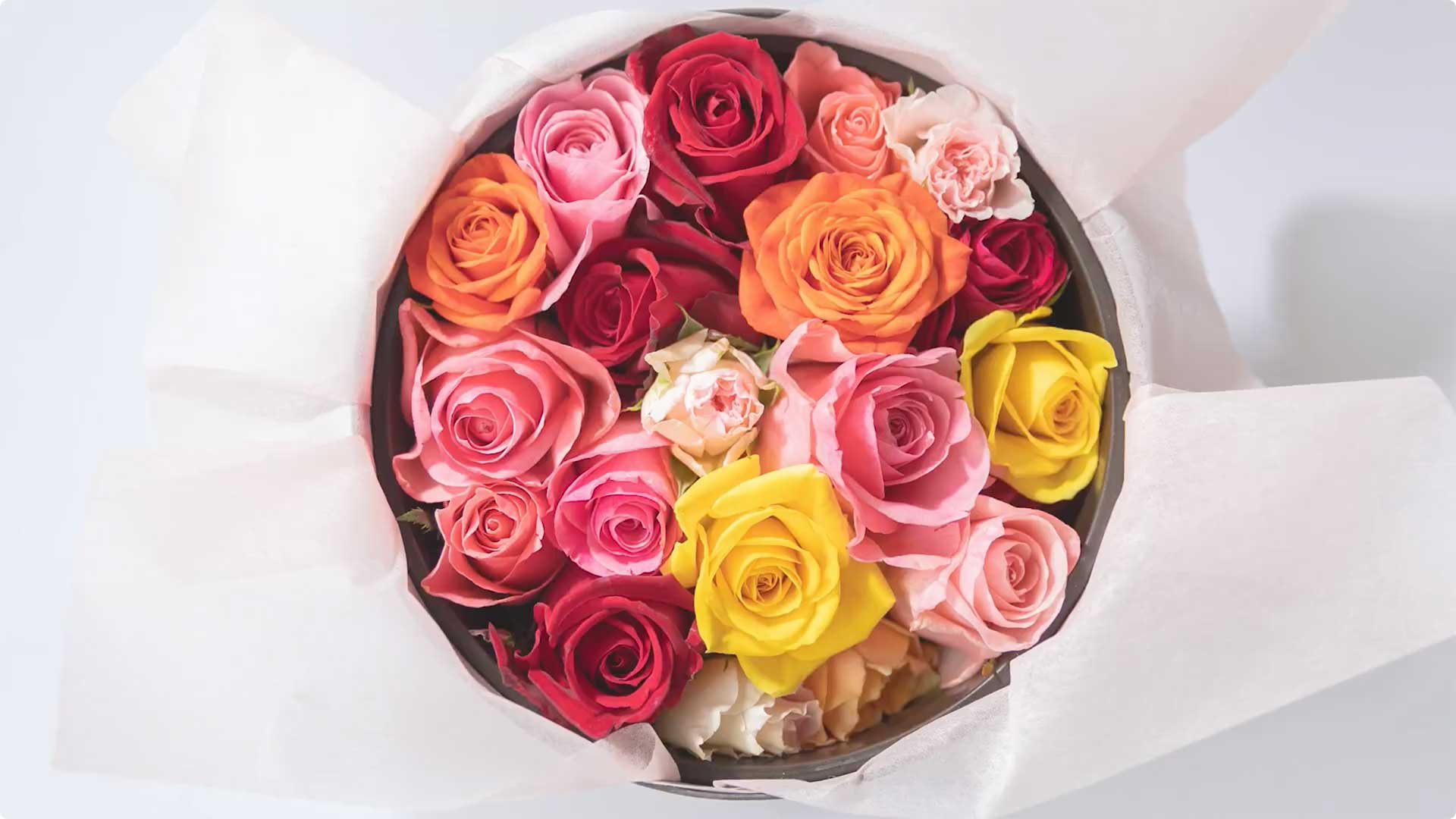 バラ風呂専門ショップ リフレス