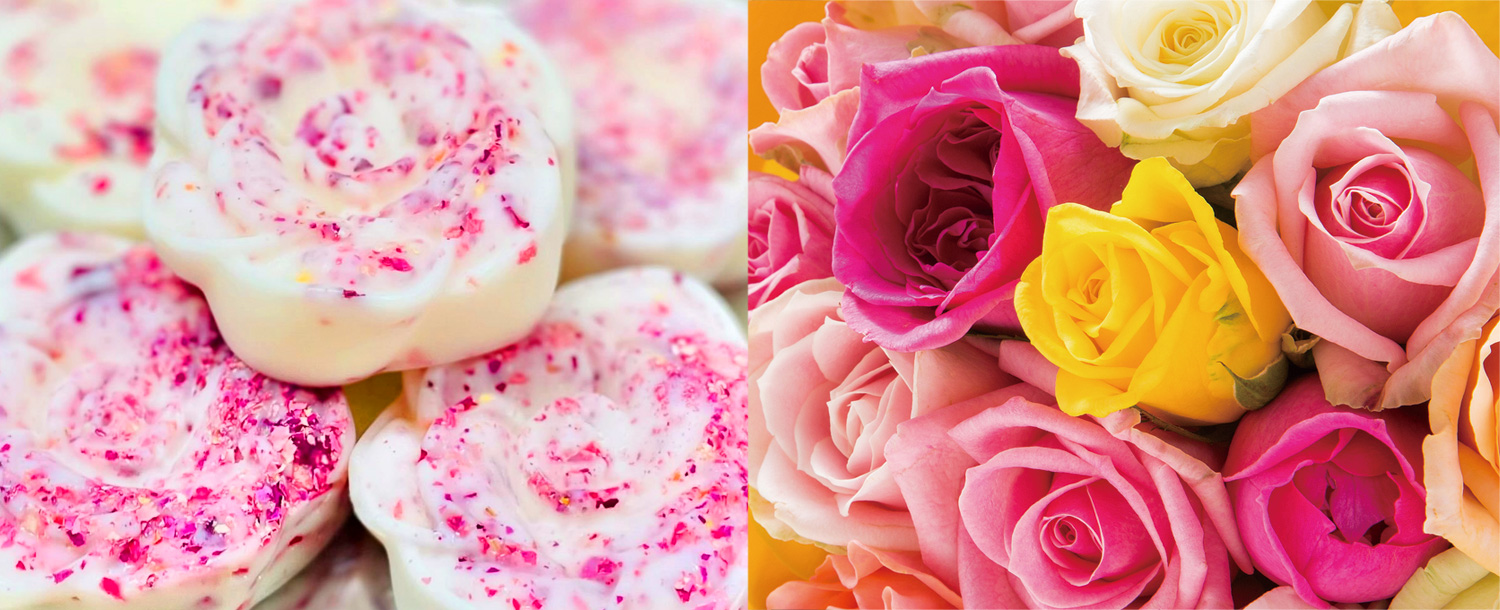 aroma wax_2025