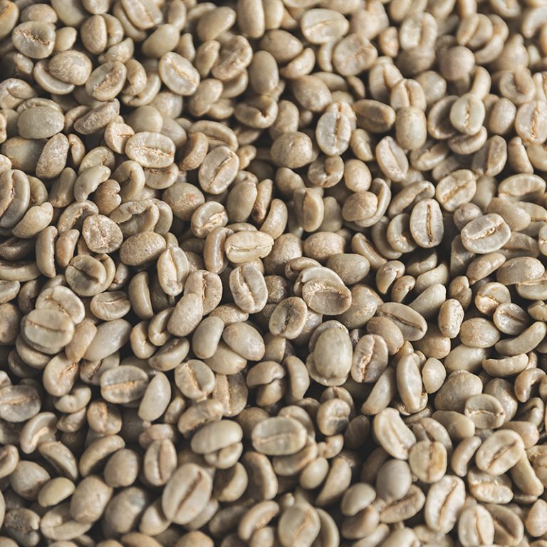 shoutou_coffee_2p_2025